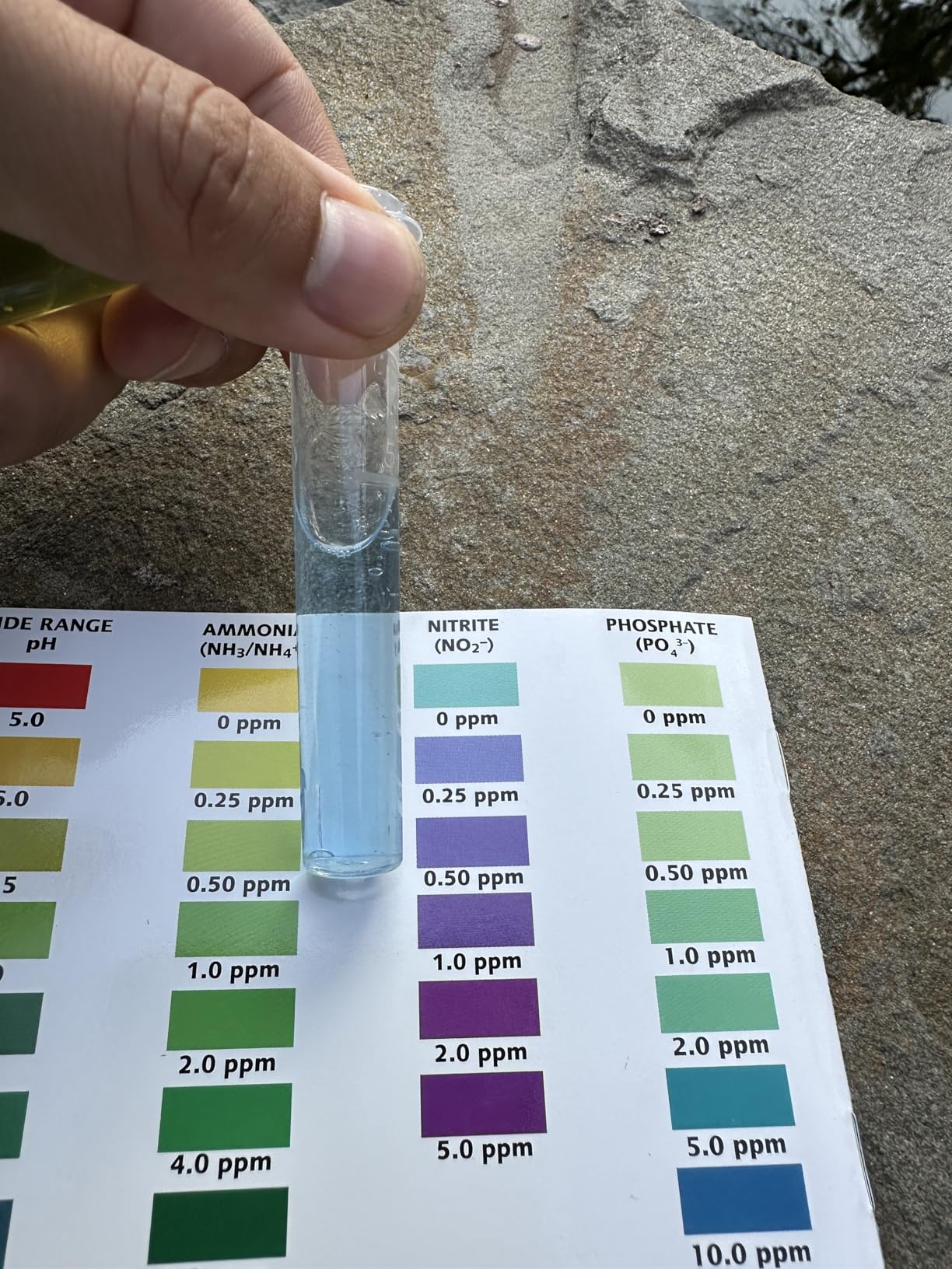 B000255NCI Customer Photo 1