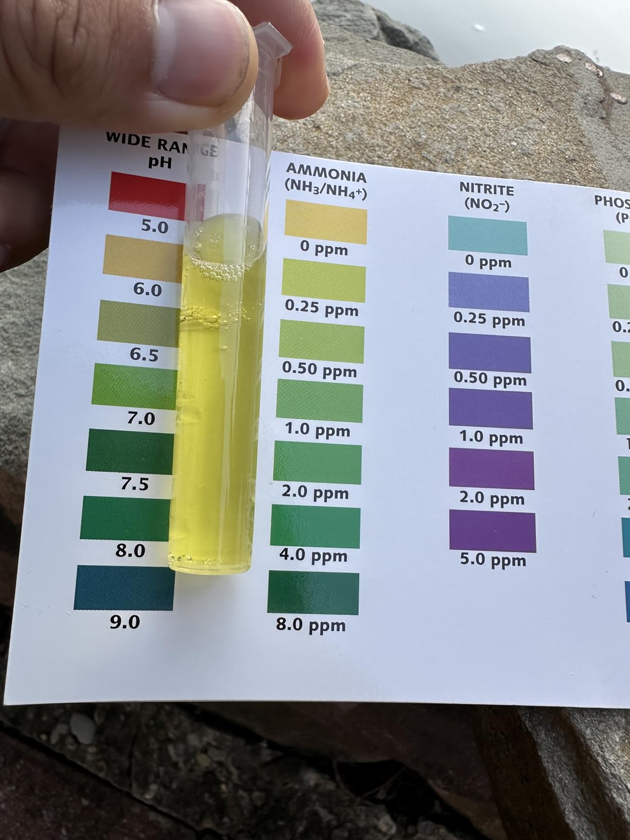 B000255NCI Customer Photo 2