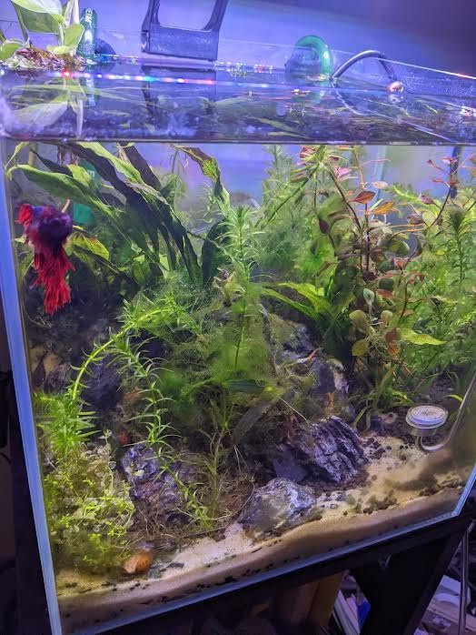 B0002AQXTA Customer Photo 1