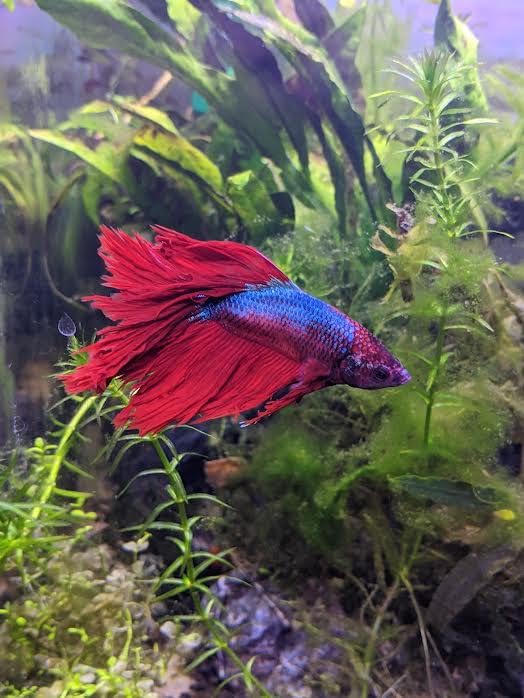 B0002AQXTA Customer Photo 2