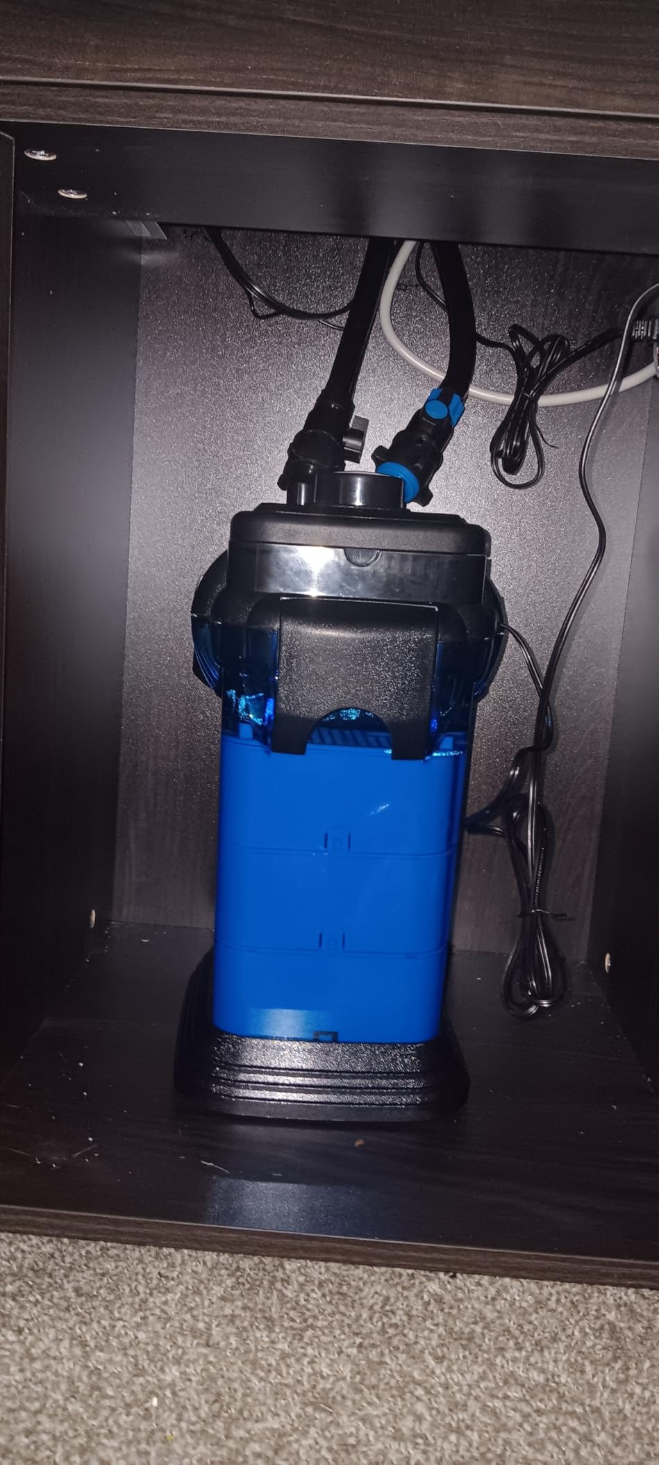 B0002DJ9OS Customer Photo 2