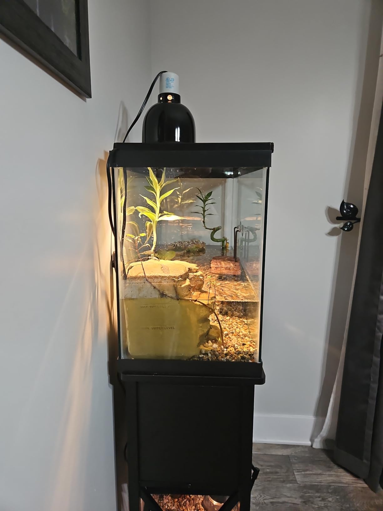 B000ICNM96 Customer Photo 2