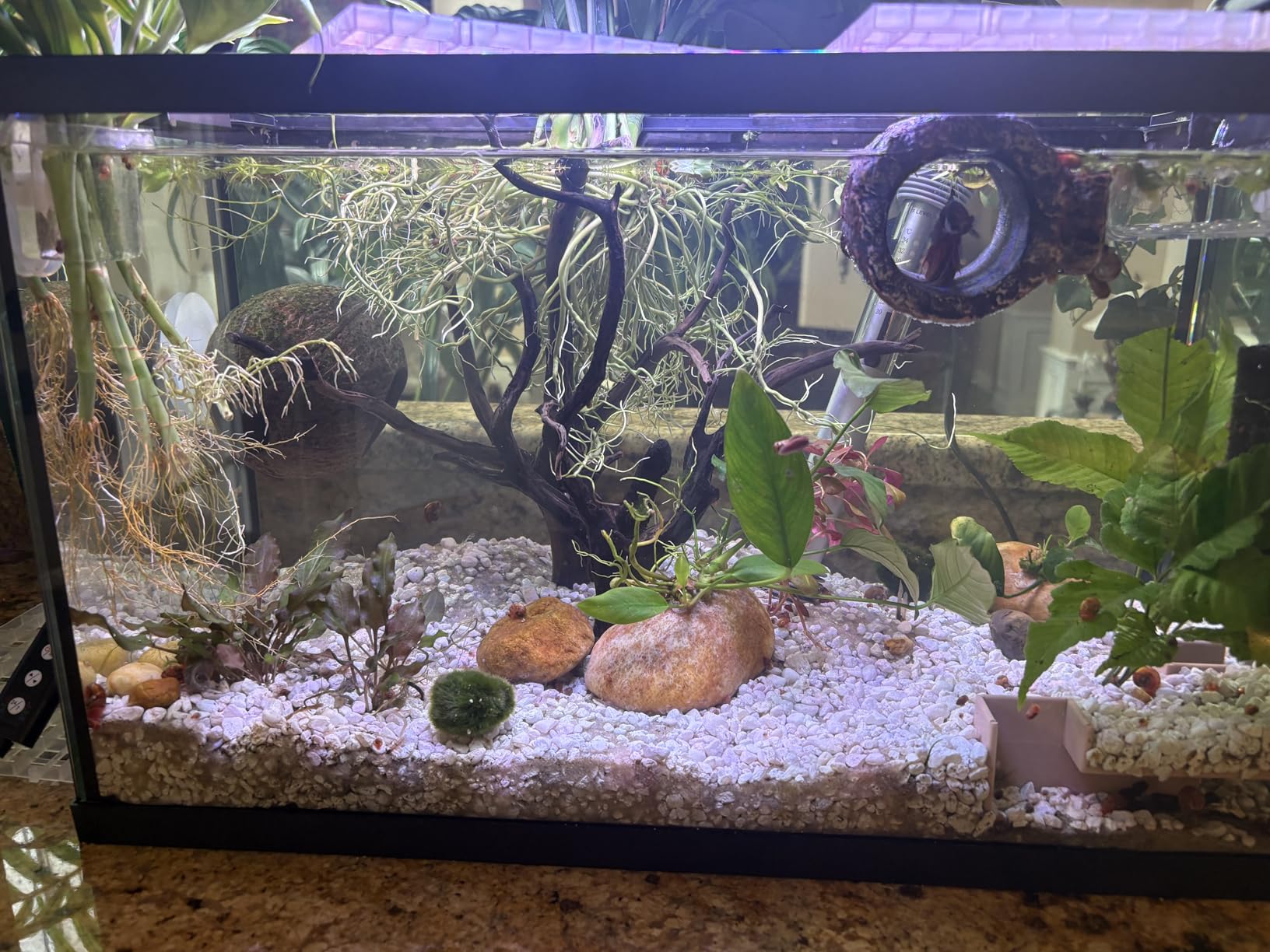 B0027ITKBS Customer Photo 1