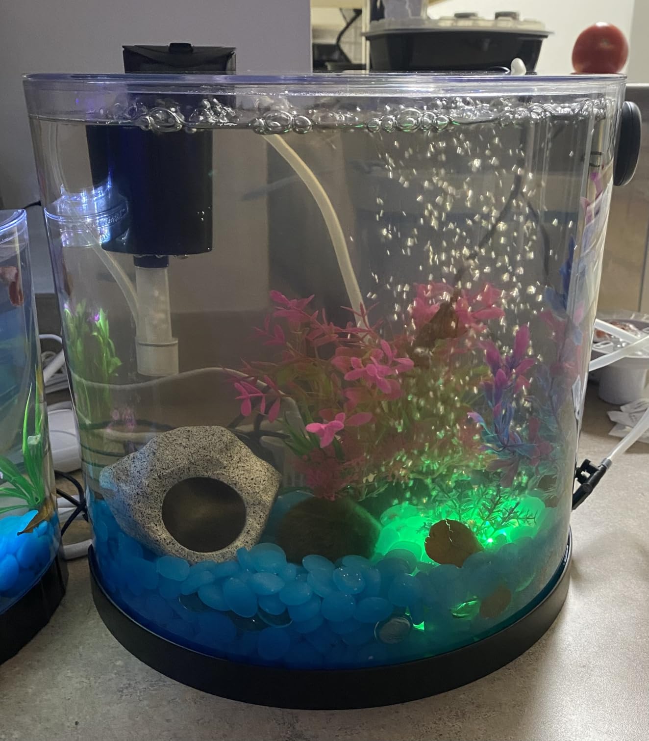 B00591C0F8 Customer Photo 2