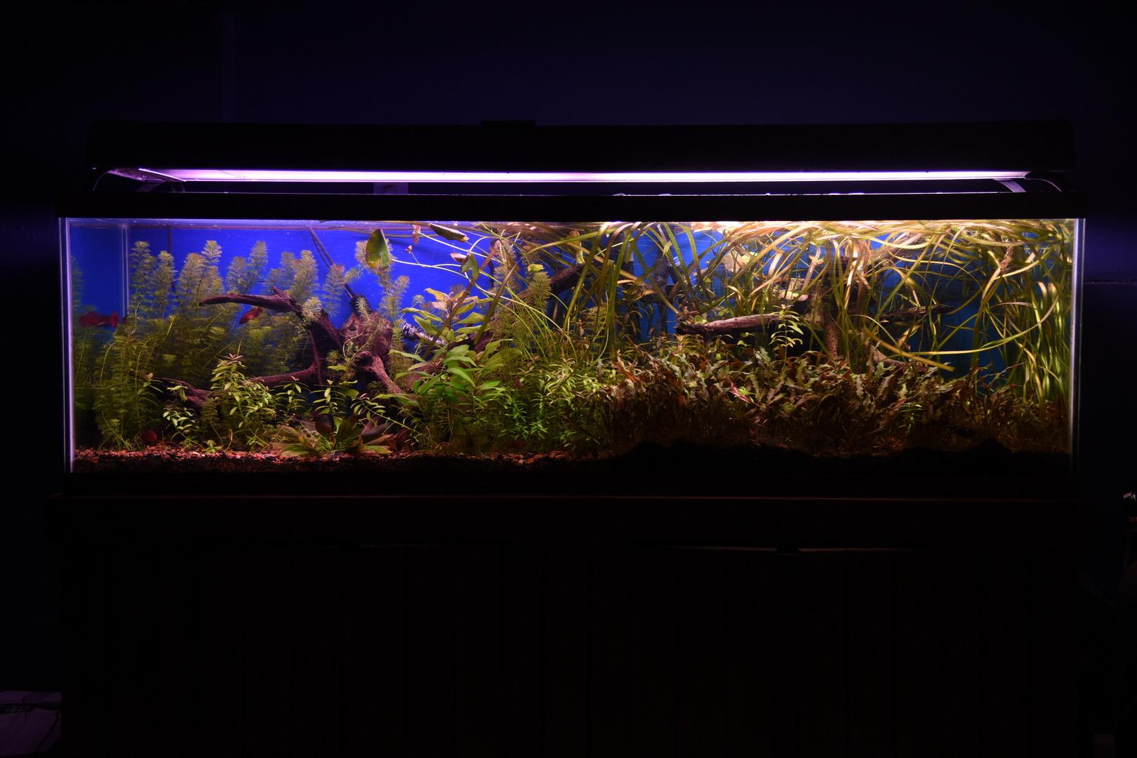 Fluval FX6 High Performance Aquarium Filter, Canister Filter for Aquariums up to 400 Gal. - Customer Photo 1