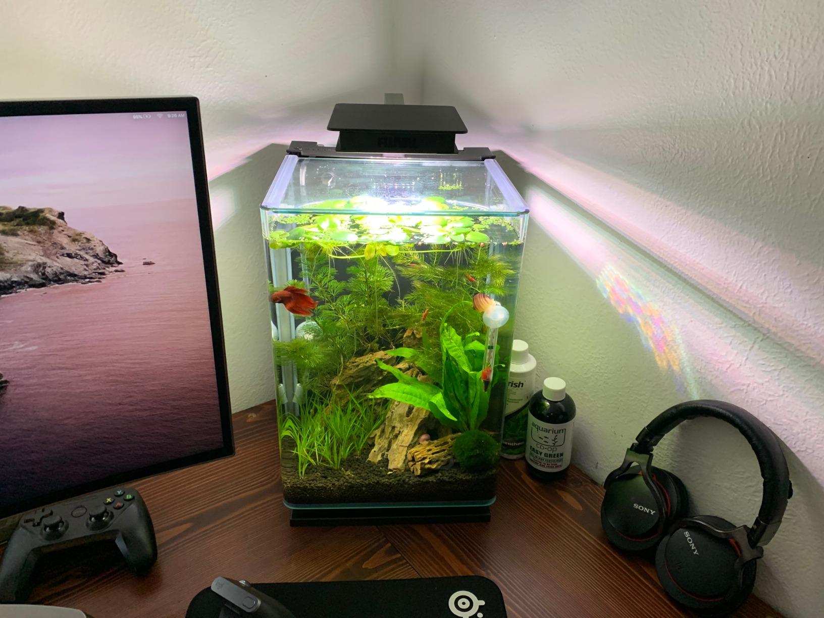 B00O8SZTKQ Customer Photo 1