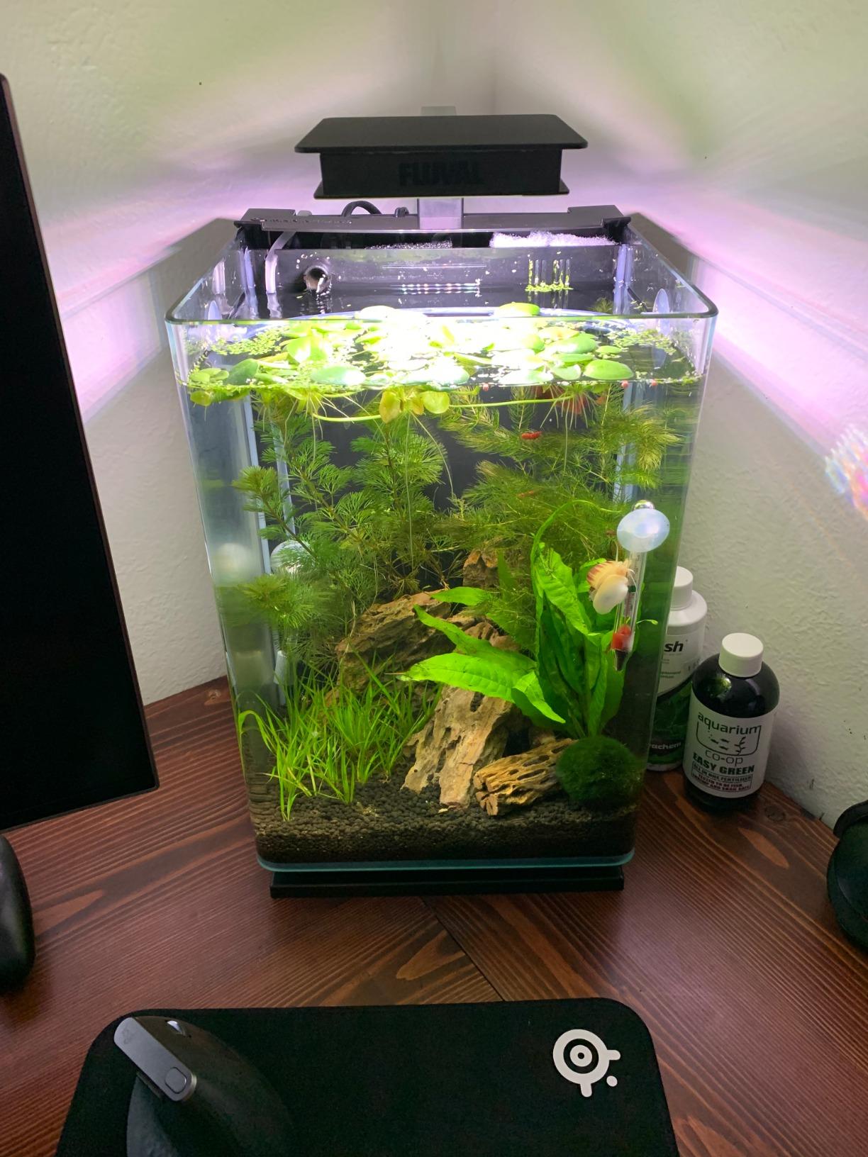 B00O8SZTKQ Customer Photo 2