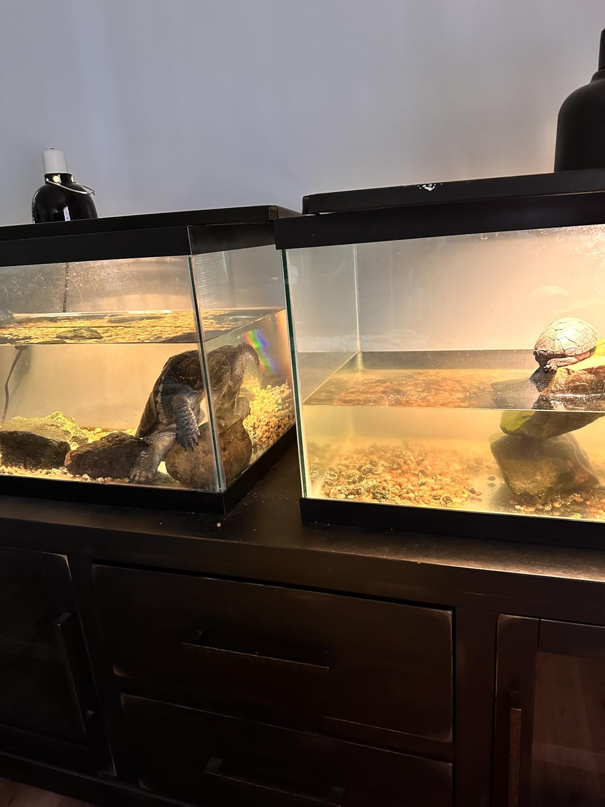 B010PLGHGE Customer Photo 2