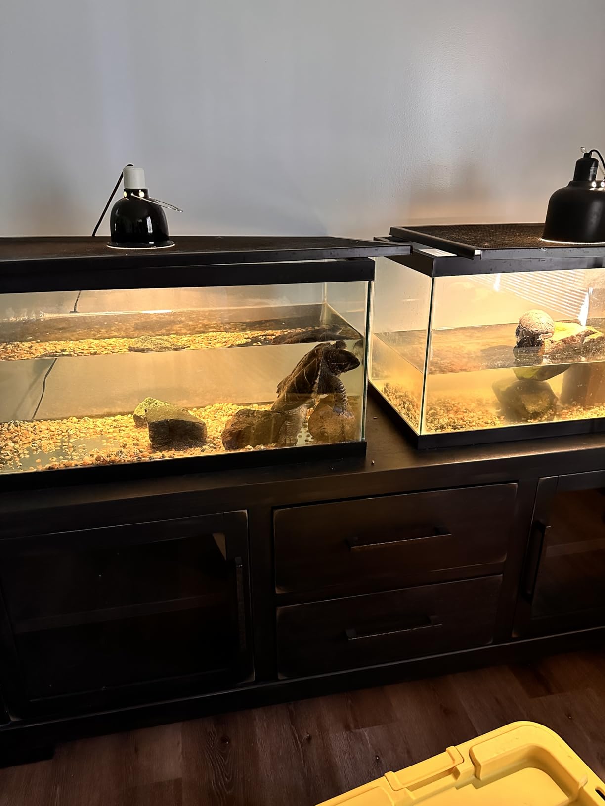 B010PLGHGE Customer Photo 3