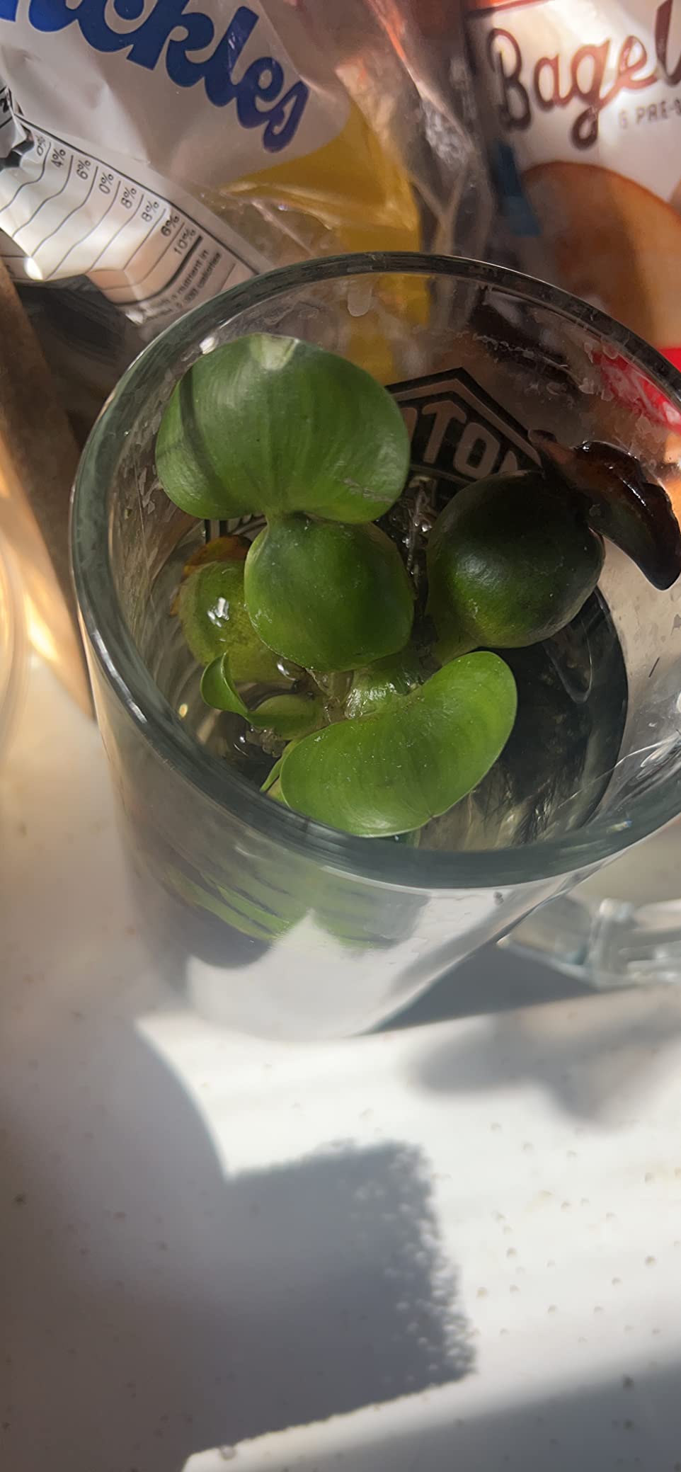 B012CG9OAQ Customer Photo 3