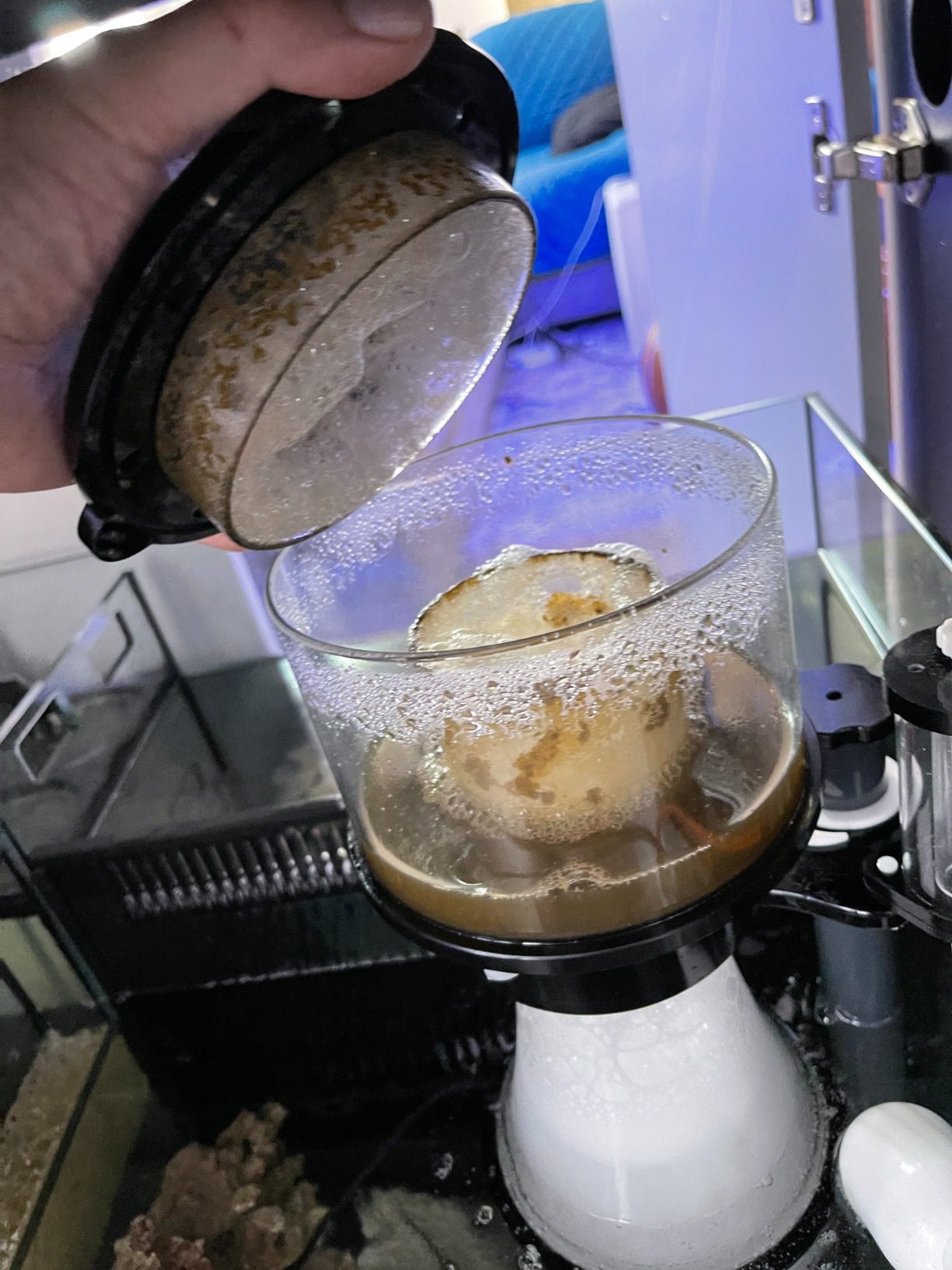 B0178HYIH8 Customer Photo 2