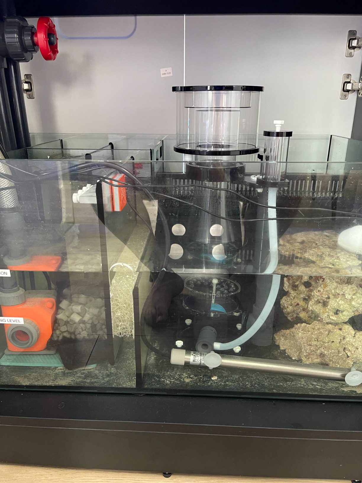 B0178HYIH8 Customer Photo 4