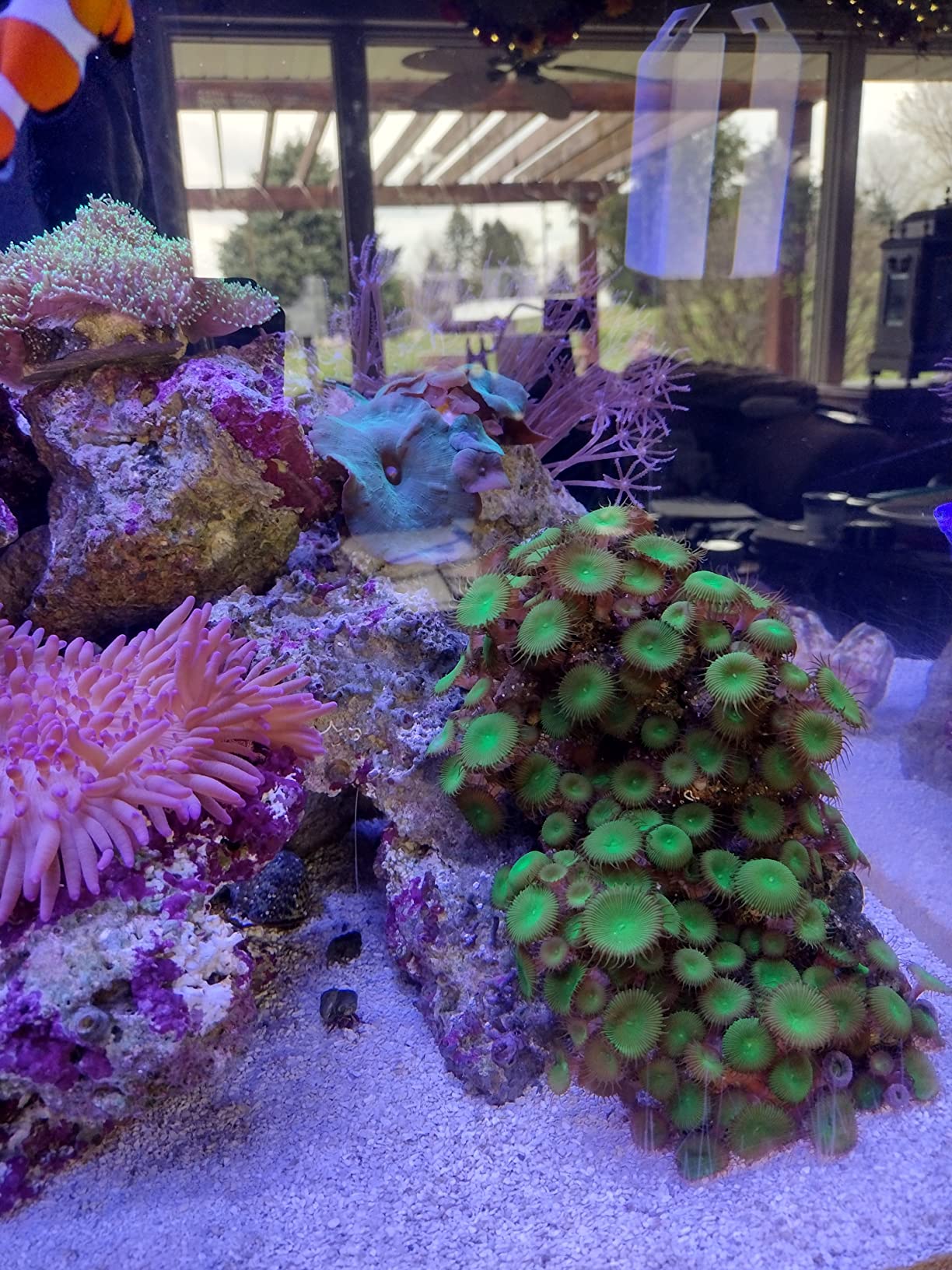 Fritz Aquatics 80243 Reef Pro Mix Complete Marine Salt, 200 Gallon - Customer Photo 2