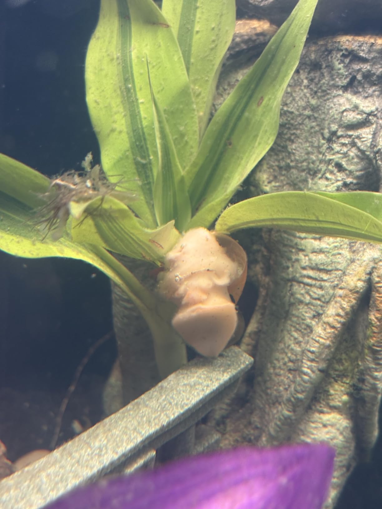 B01MQ44EX8 Customer Photo 1