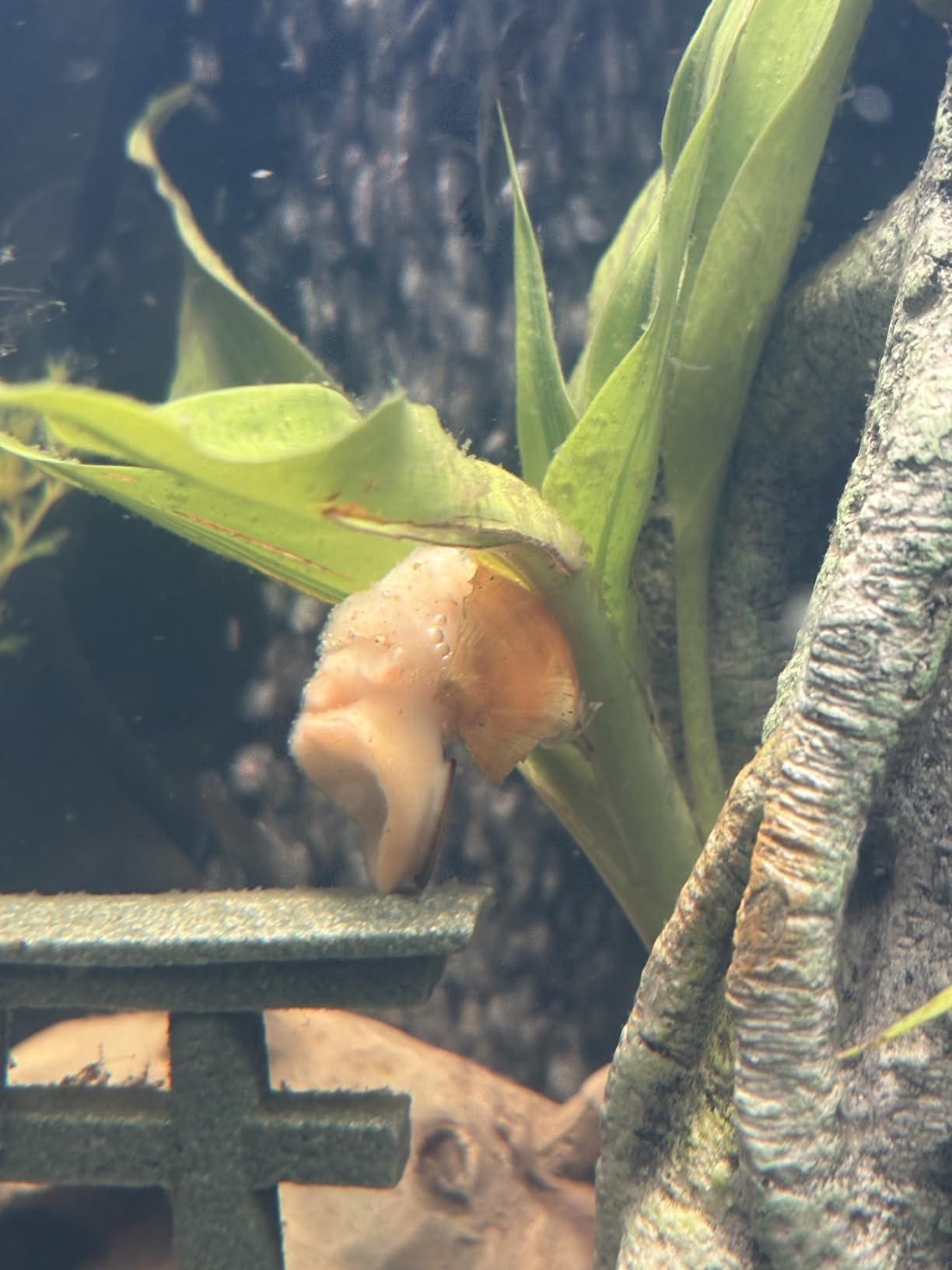 B01MQ44EX8 Customer Photo 2