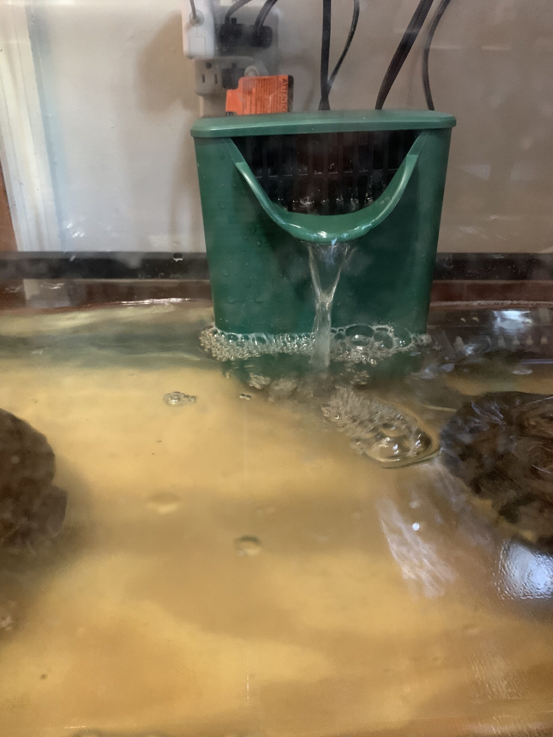 B06XGHBVJK Customer Photo 1