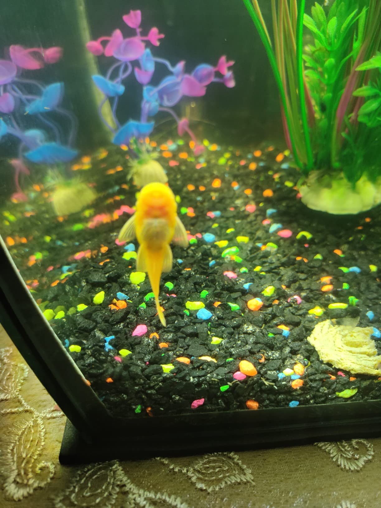 B073MYWKWL Customer Photo 1