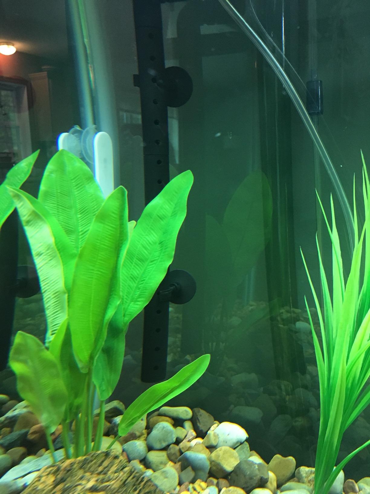 B074WQQGB7 Customer Photo 1