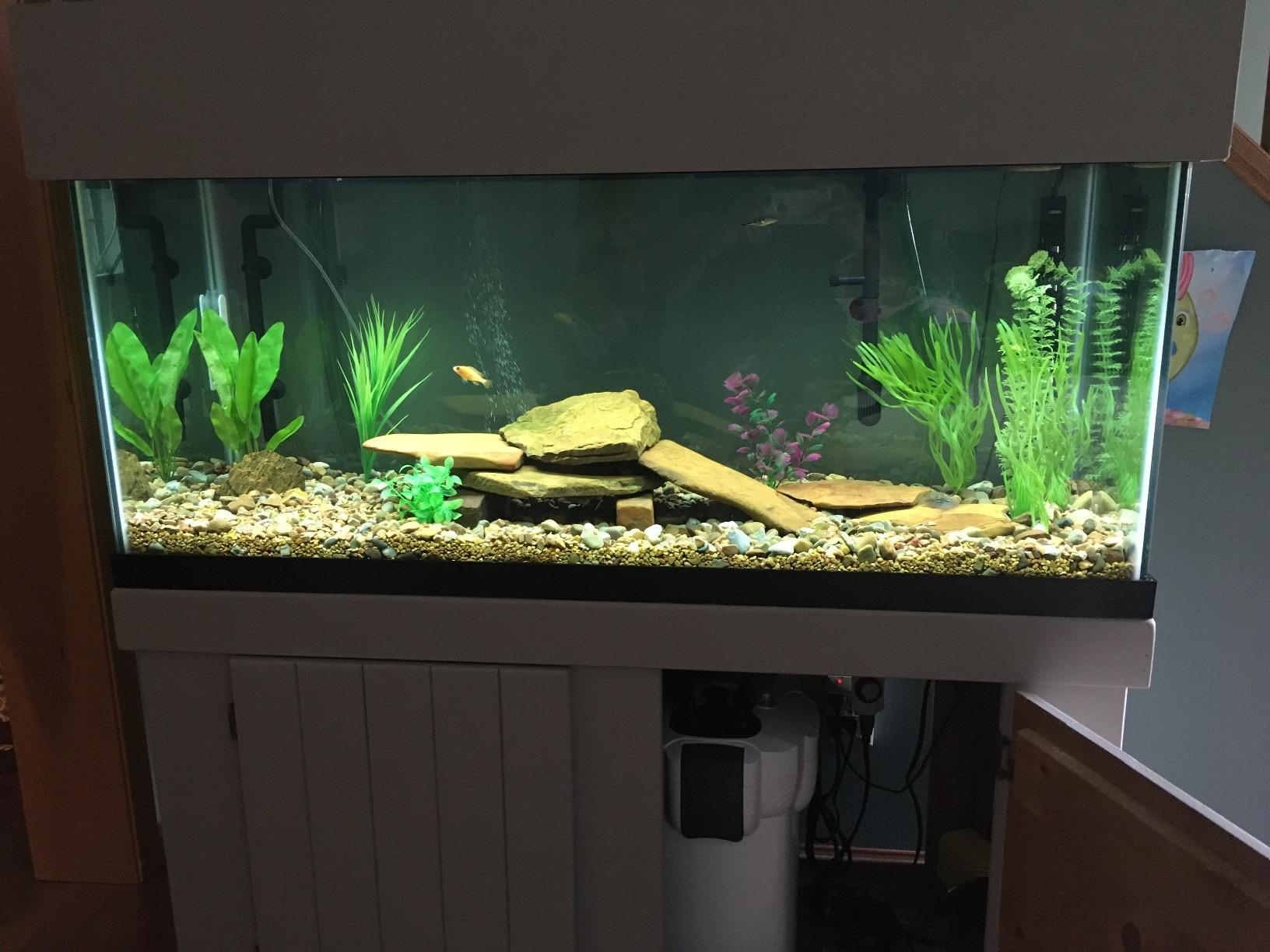 B074WQQGB7 Customer Photo 2