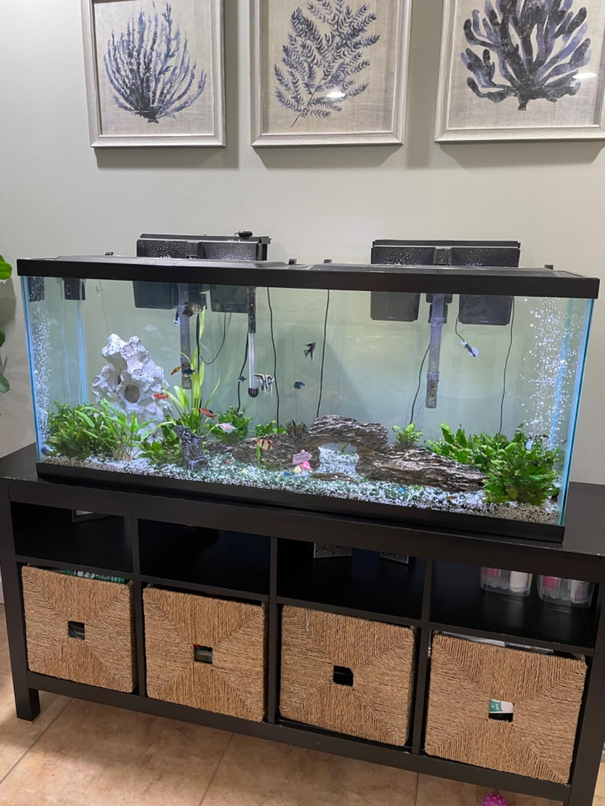 B07BJ9KPSR Customer Photo 1