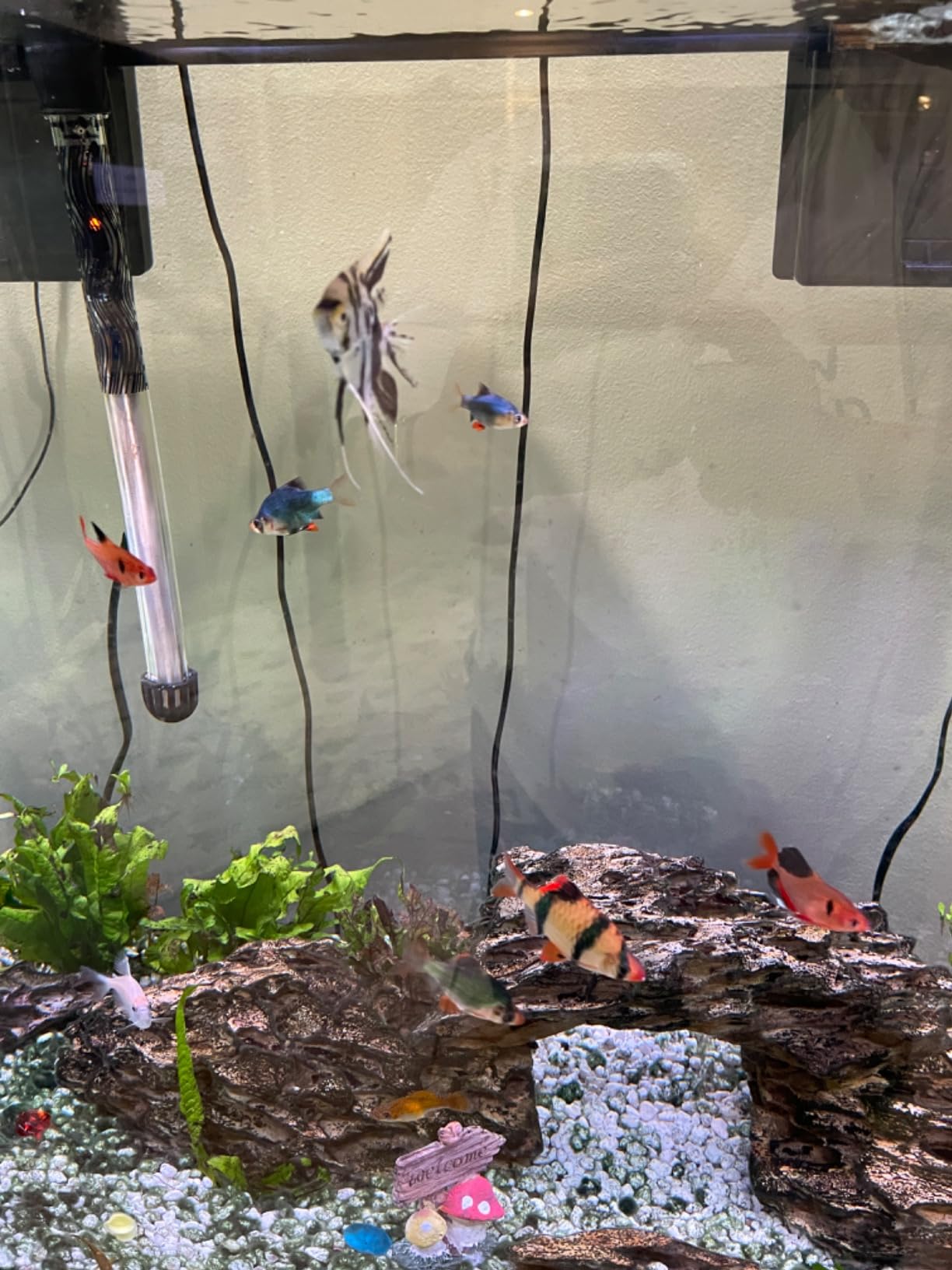 B07BJ9KPSR Customer Photo 2