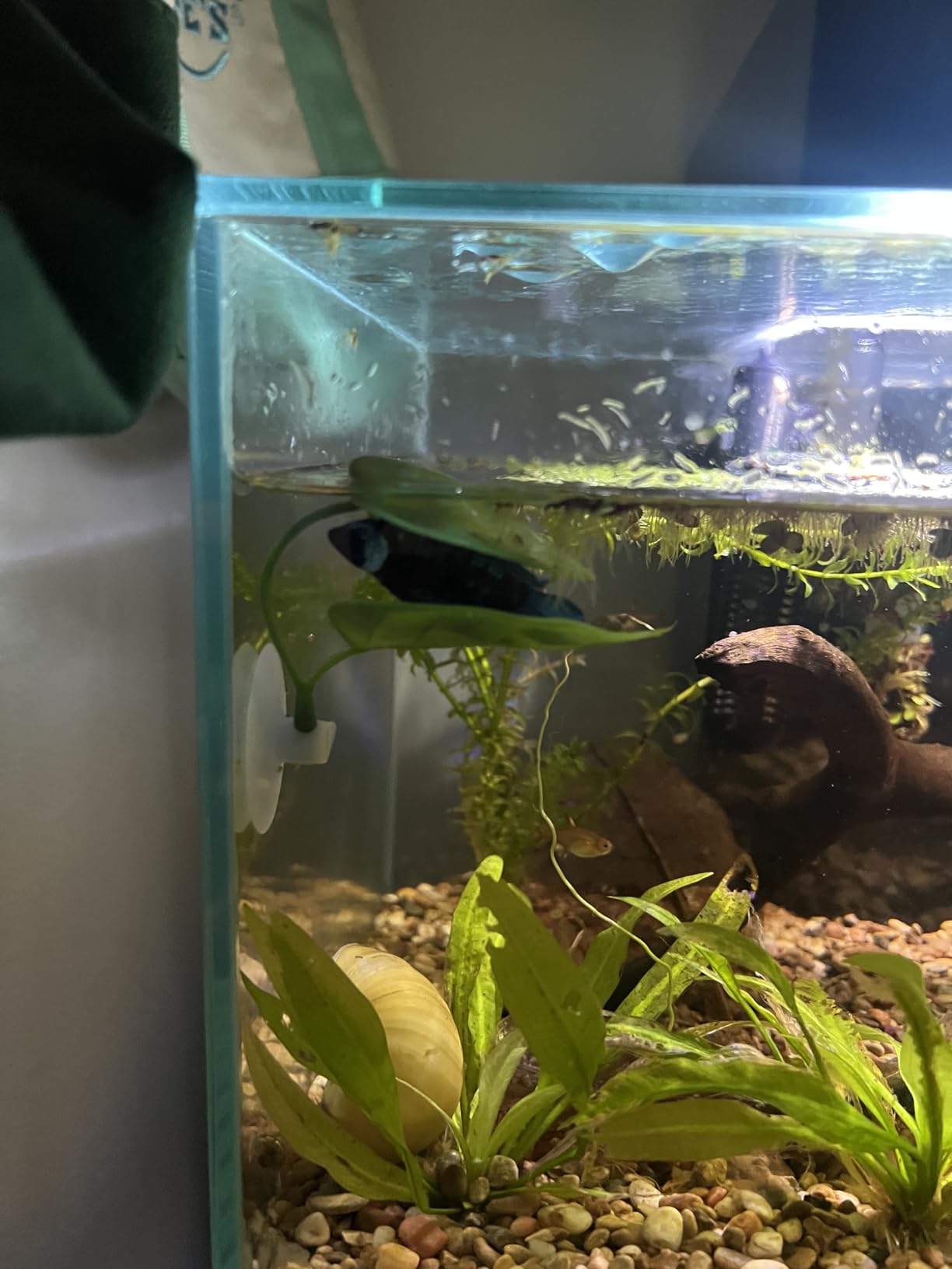 B07HQ61P7Q Customer Photo 1