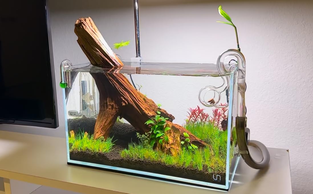 B07LH8N8R6 Customer Photo 1