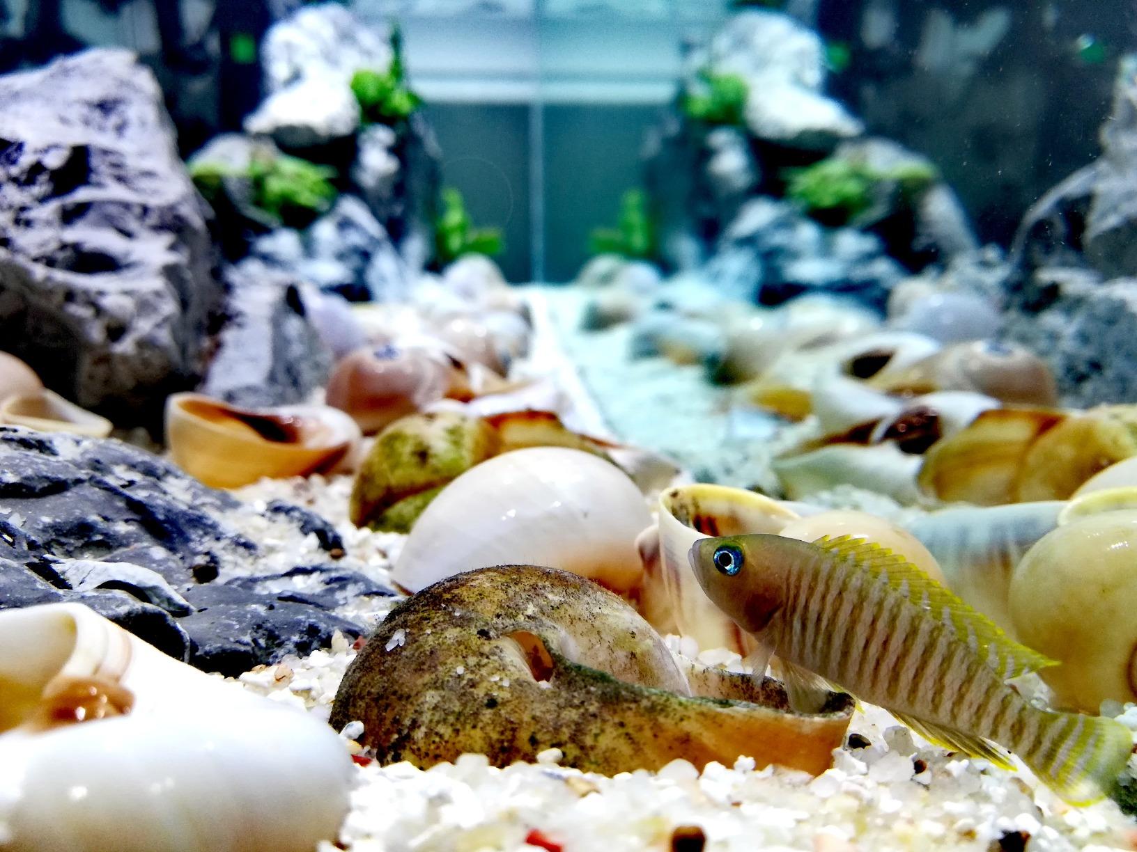 B07LH8N8R6 Customer Photo 2