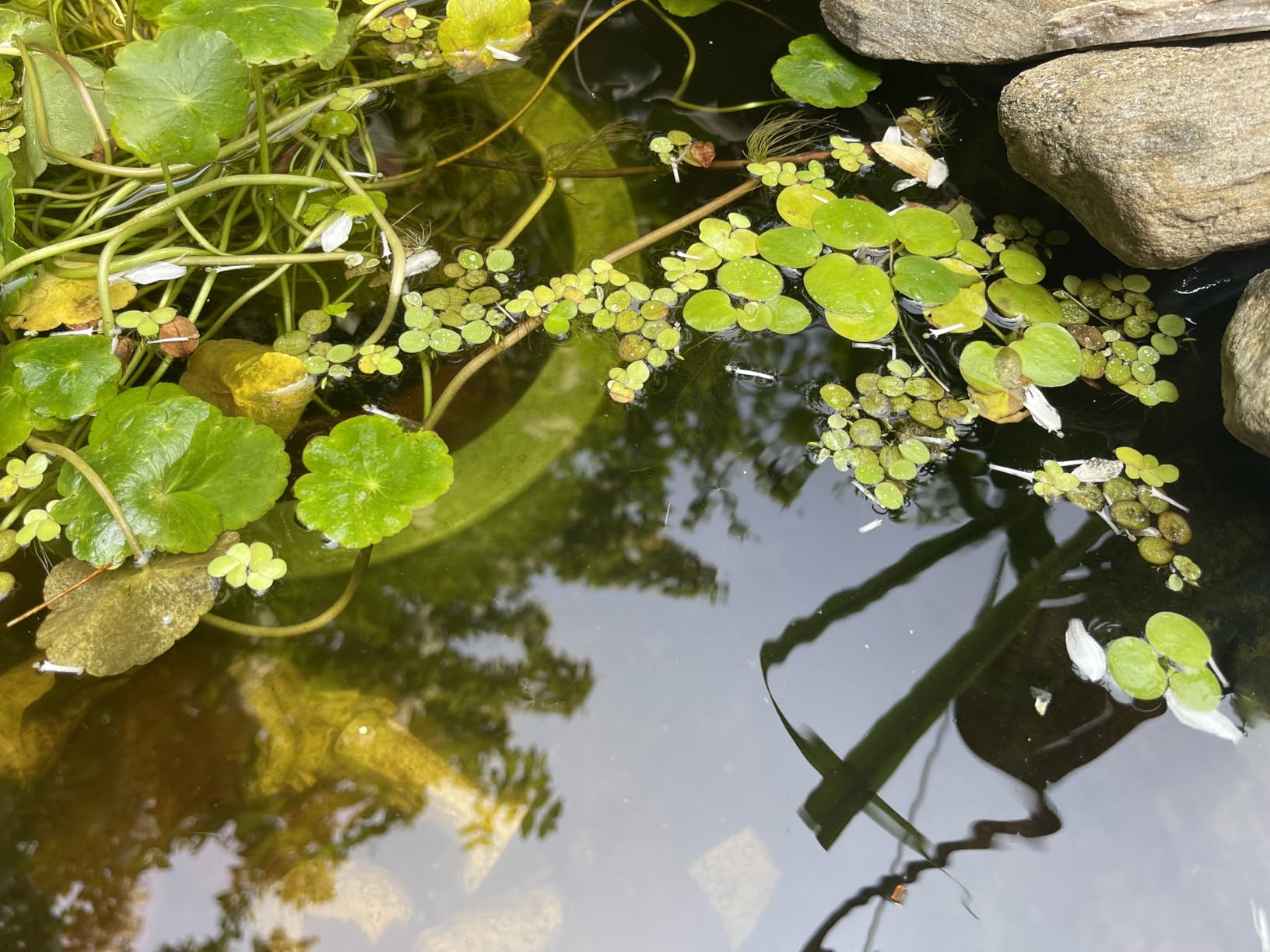 B07VPX5BVN Customer Photo 1