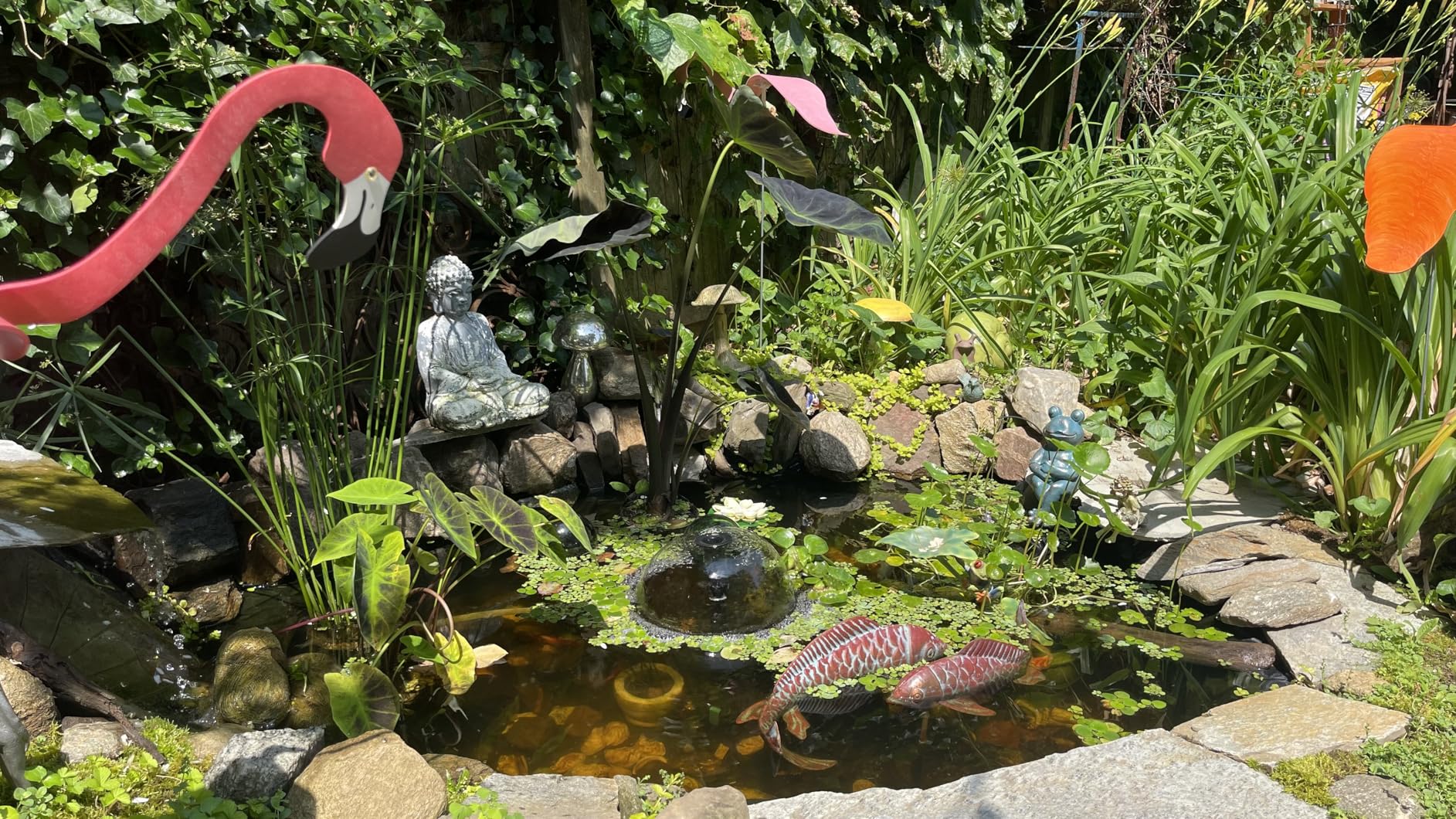 B07VPX5BVN Customer Photo 2