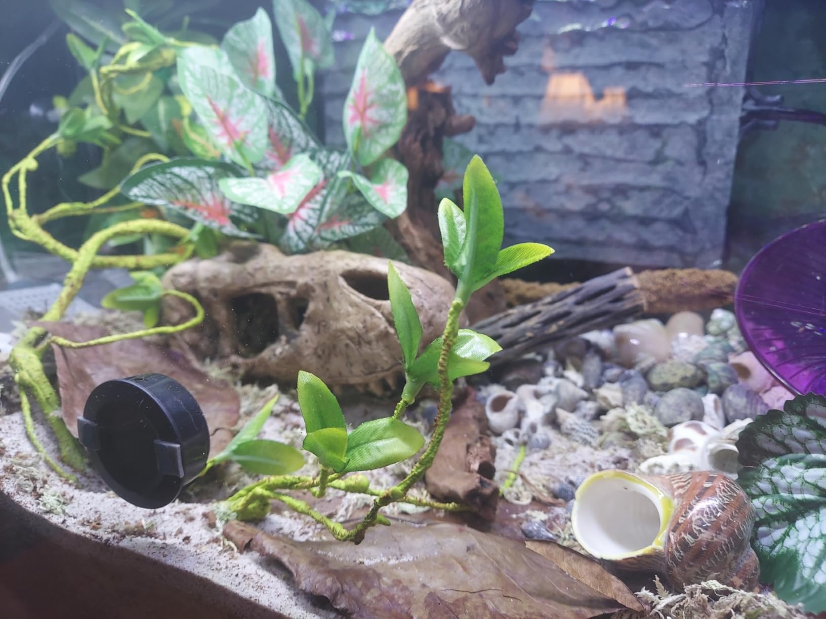 B08BJB7FX4 Customer Photo 2