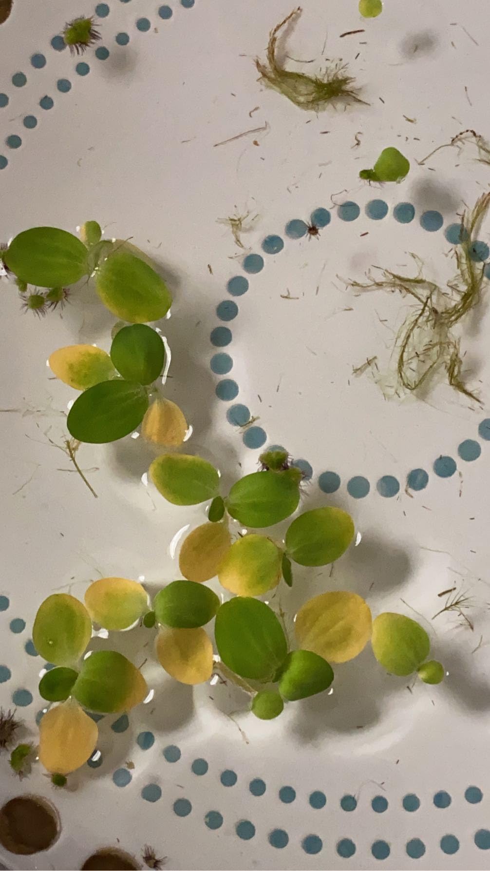 B08BKXYYK1 Customer Photo 3