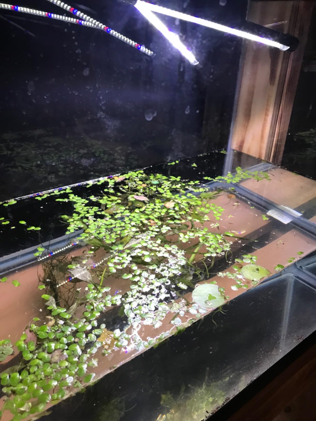 B08F9X7ZPM Customer Photo 1