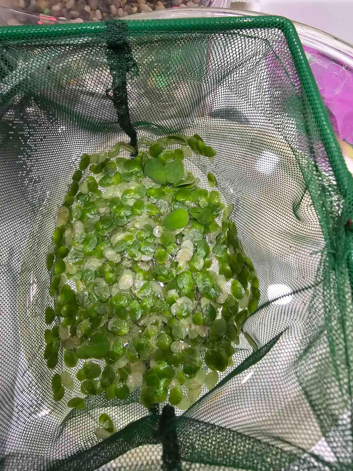 B08F9X7ZPM Customer Photo 2