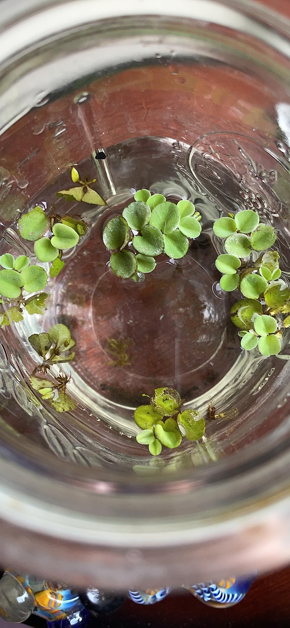 B08NP571WJ Customer Photo 1