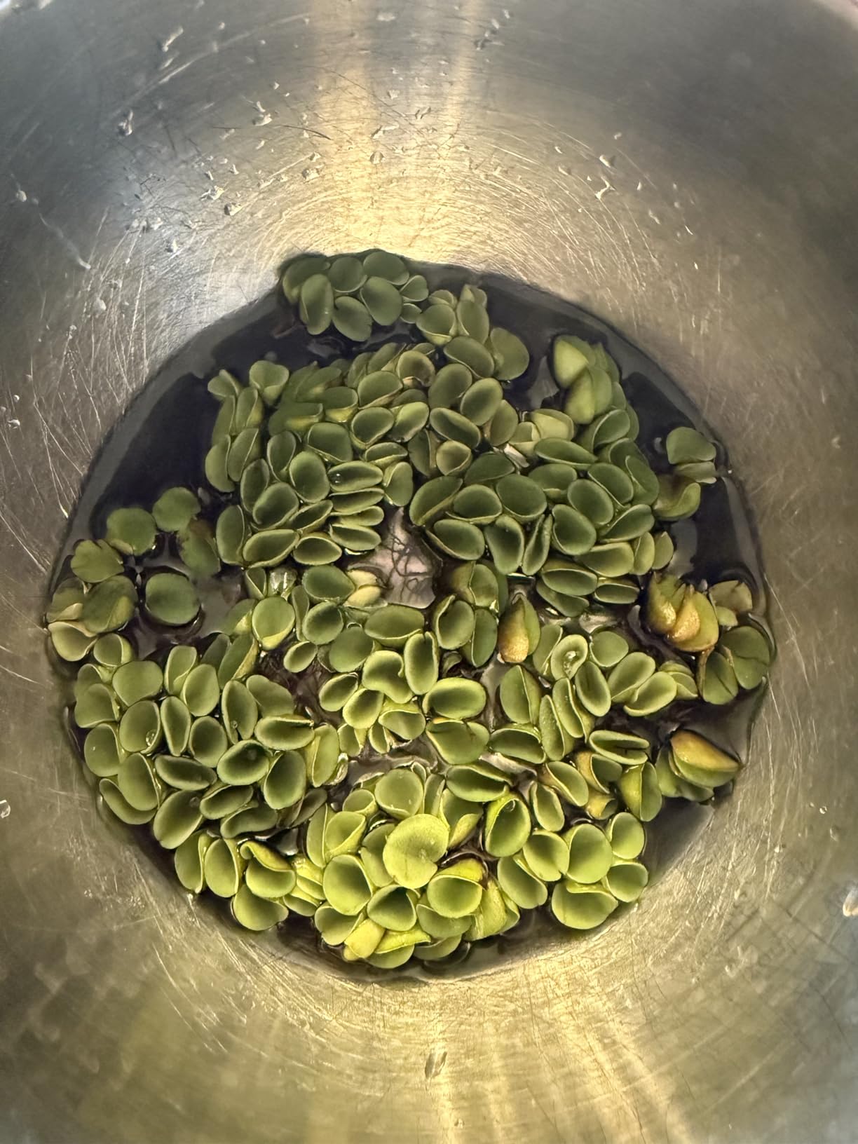 B08NP571WJ Customer Photo 2