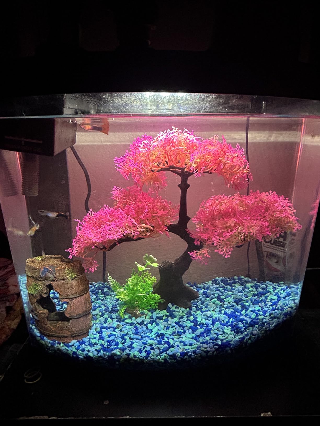 B097T6153N Customer Photo 1