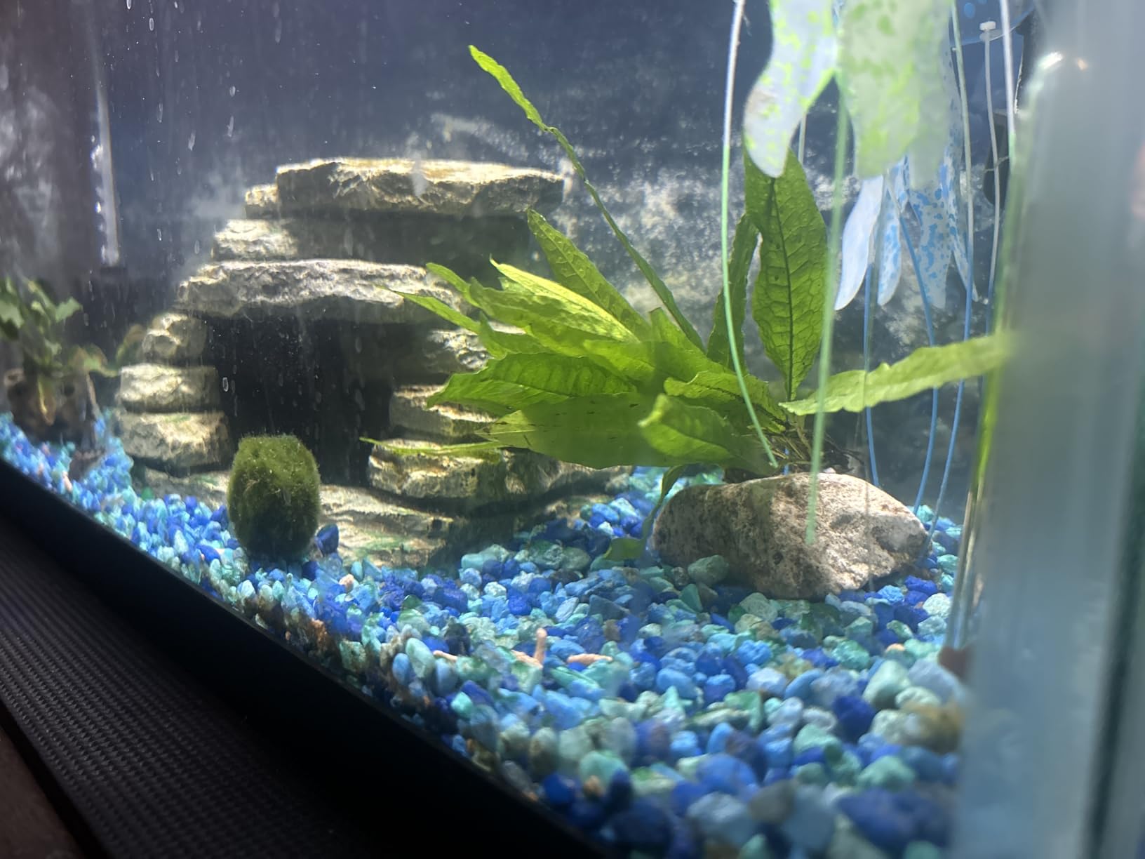 B09BBJD2NX Customer Photo 2