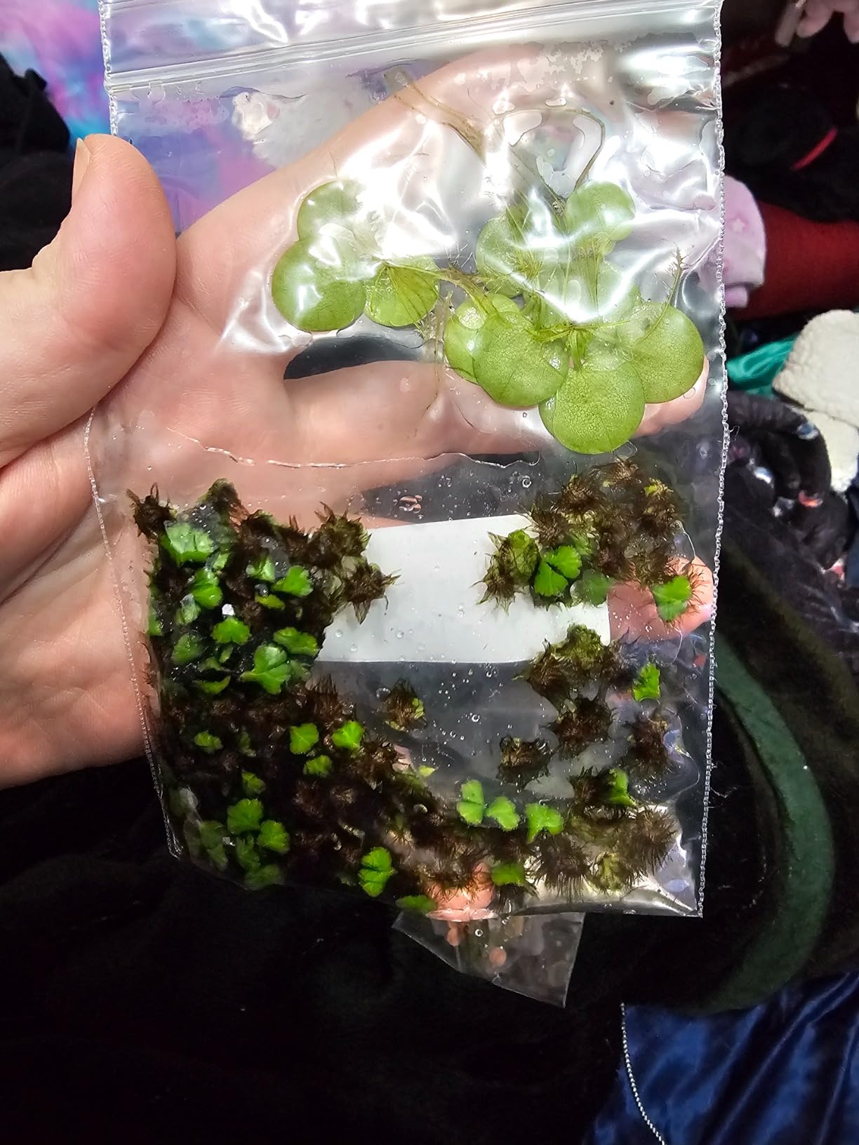 B09BKGS4SY Customer Photo 1