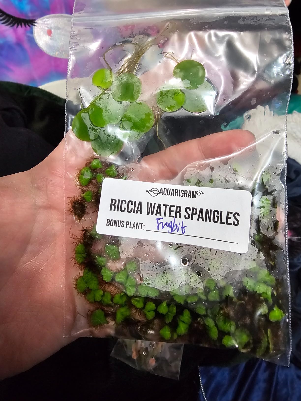 B09BKGS4SY Customer Photo 2