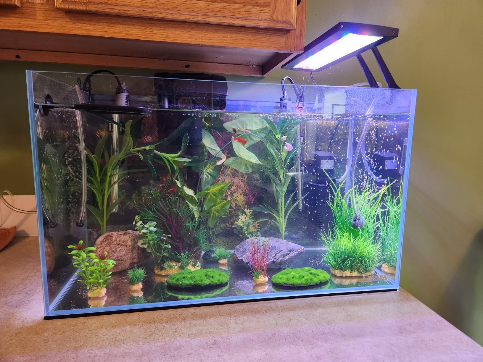 B09MVMW4F2 Customer Photo 1