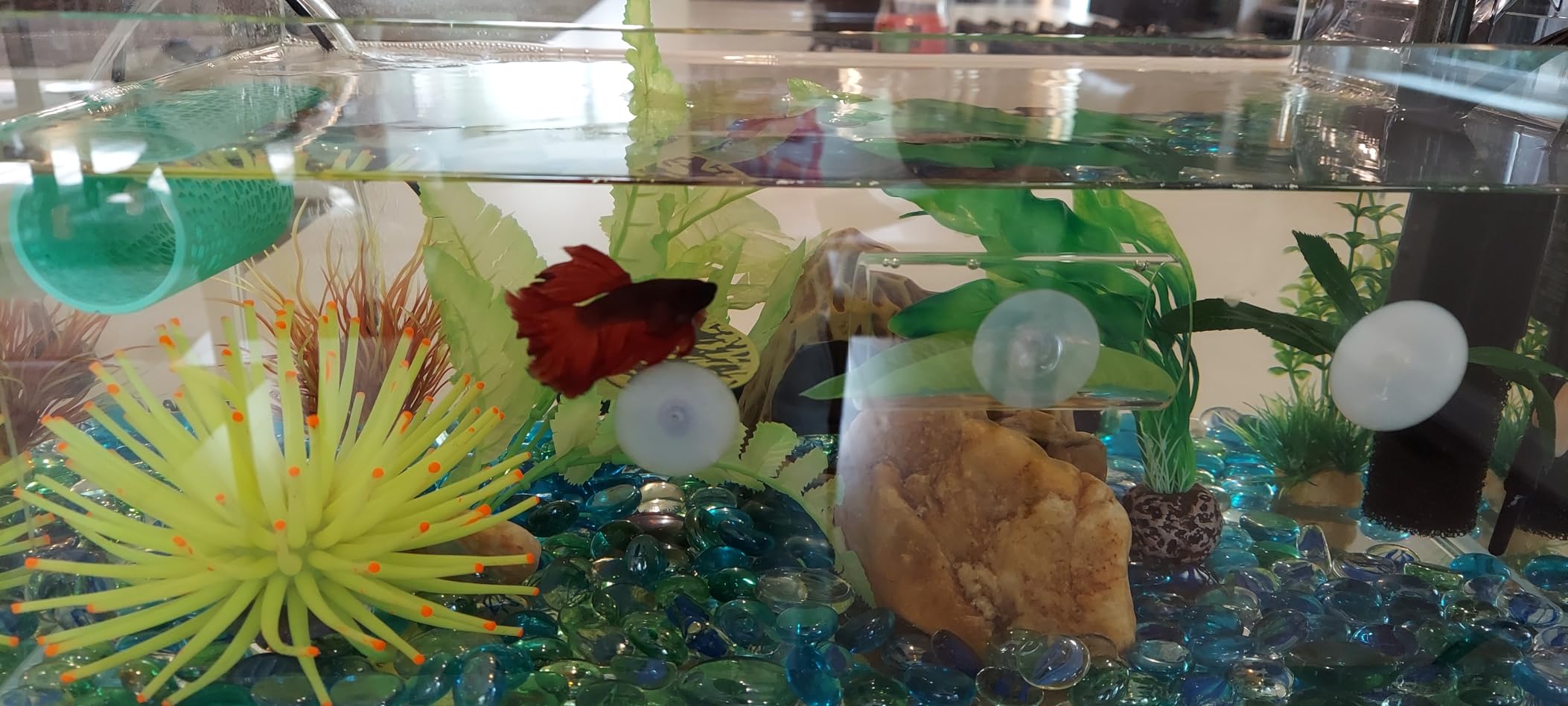 B09MVMW4F2 Customer Photo 2