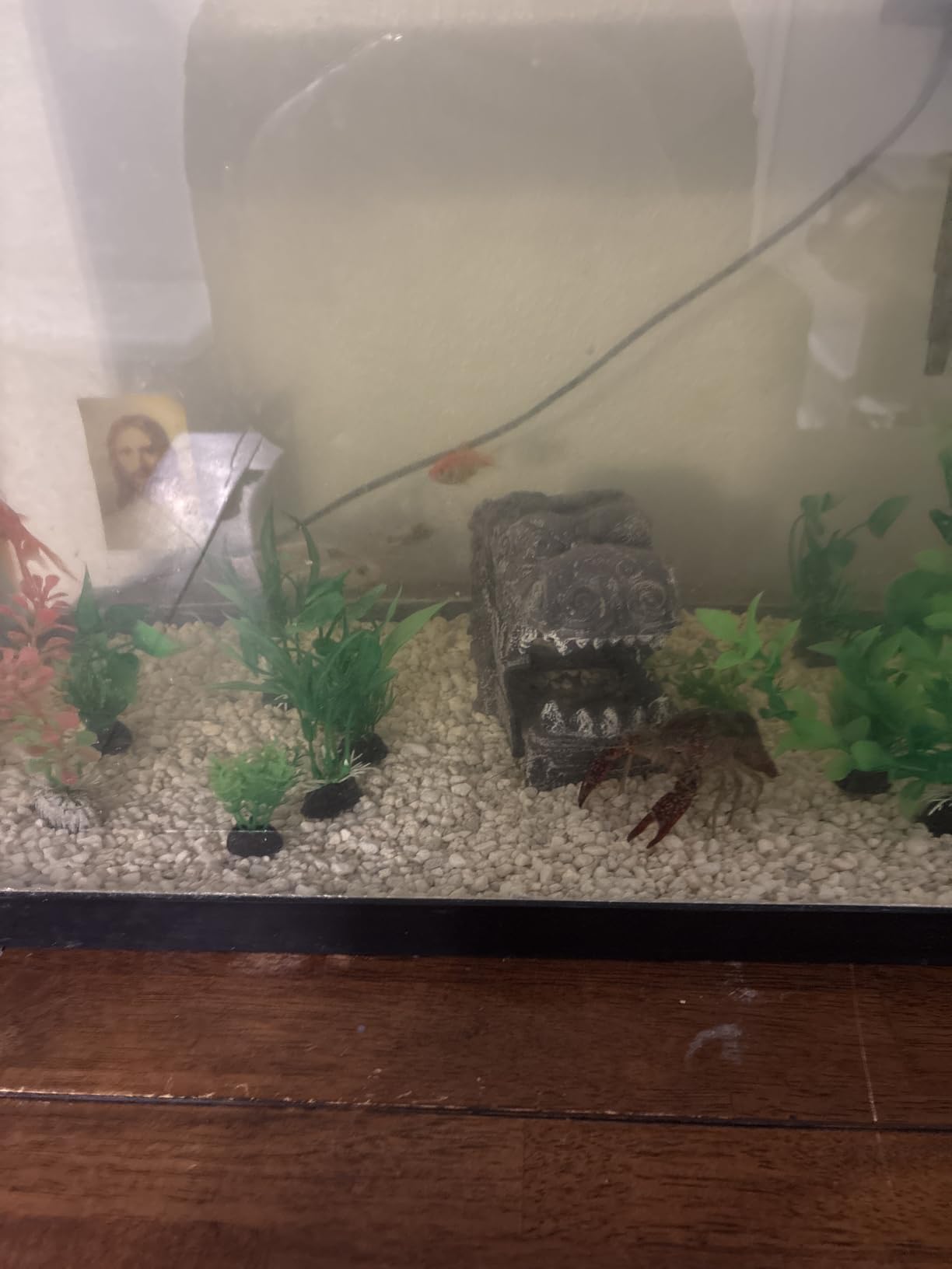 B09N8VHW9S Customer Photo 1