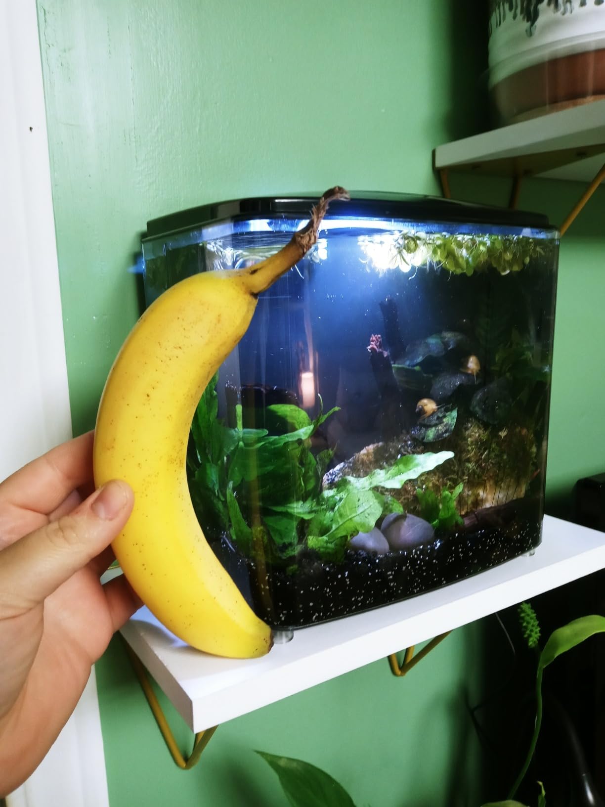 B09NVVTBCQ Customer Photo 1