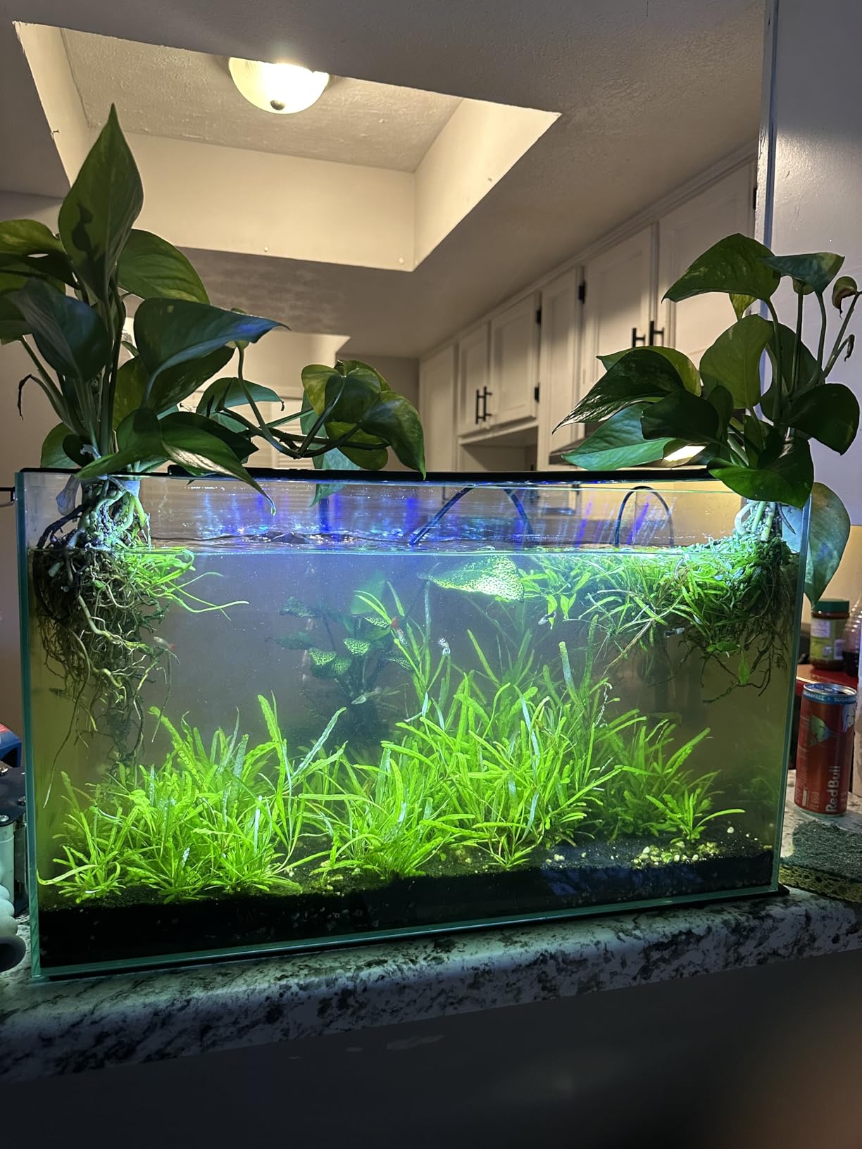 B09QY3LBLG Customer Photo 1