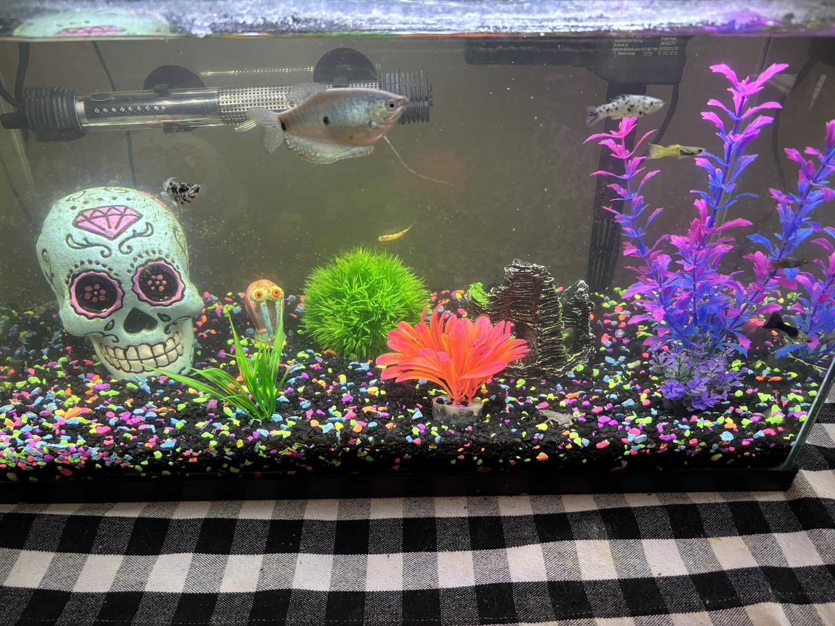 B0B8ZJ2JXZ Customer Photo 1