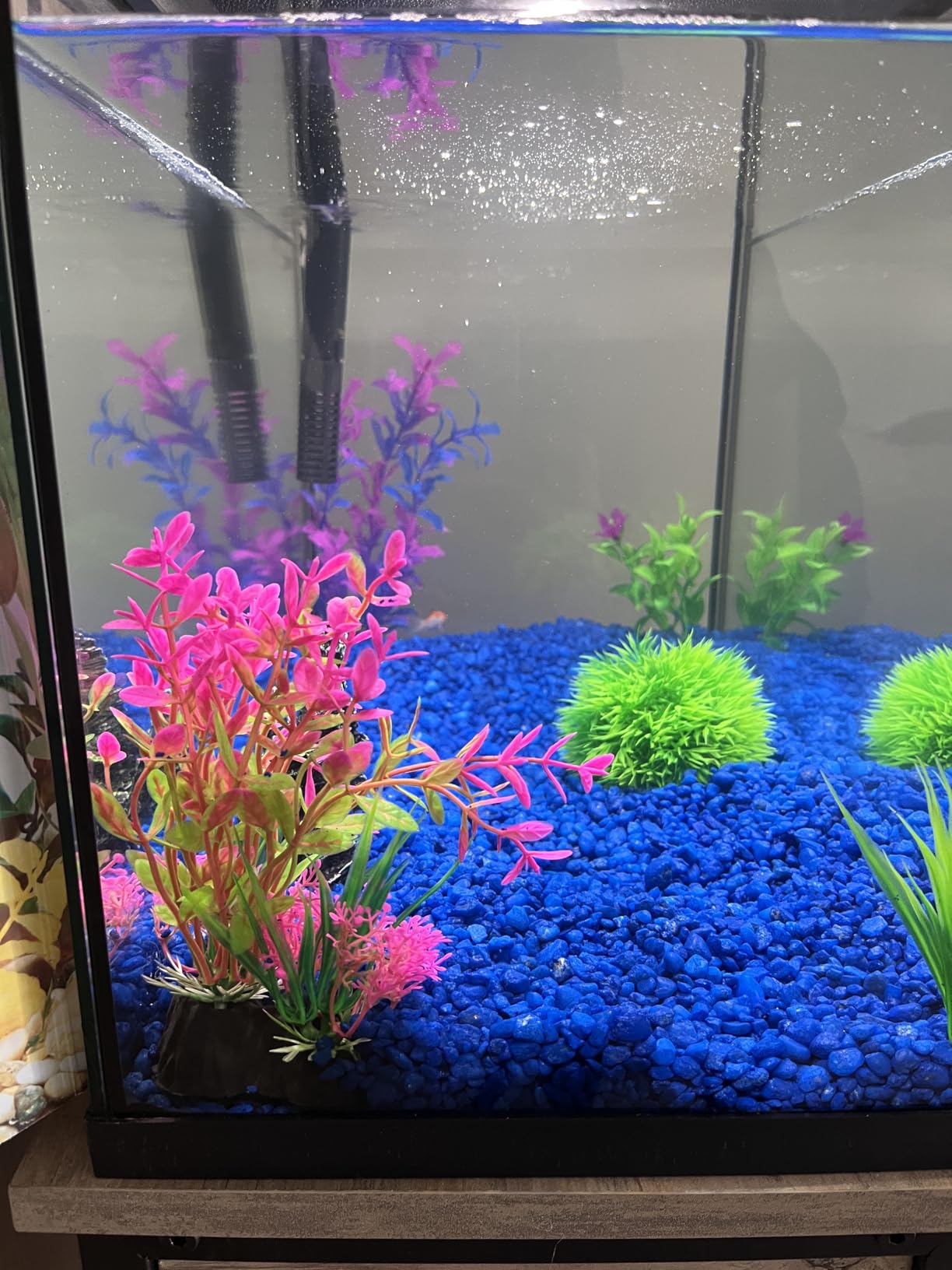 B0B8ZJ2JXZ Customer Photo 2