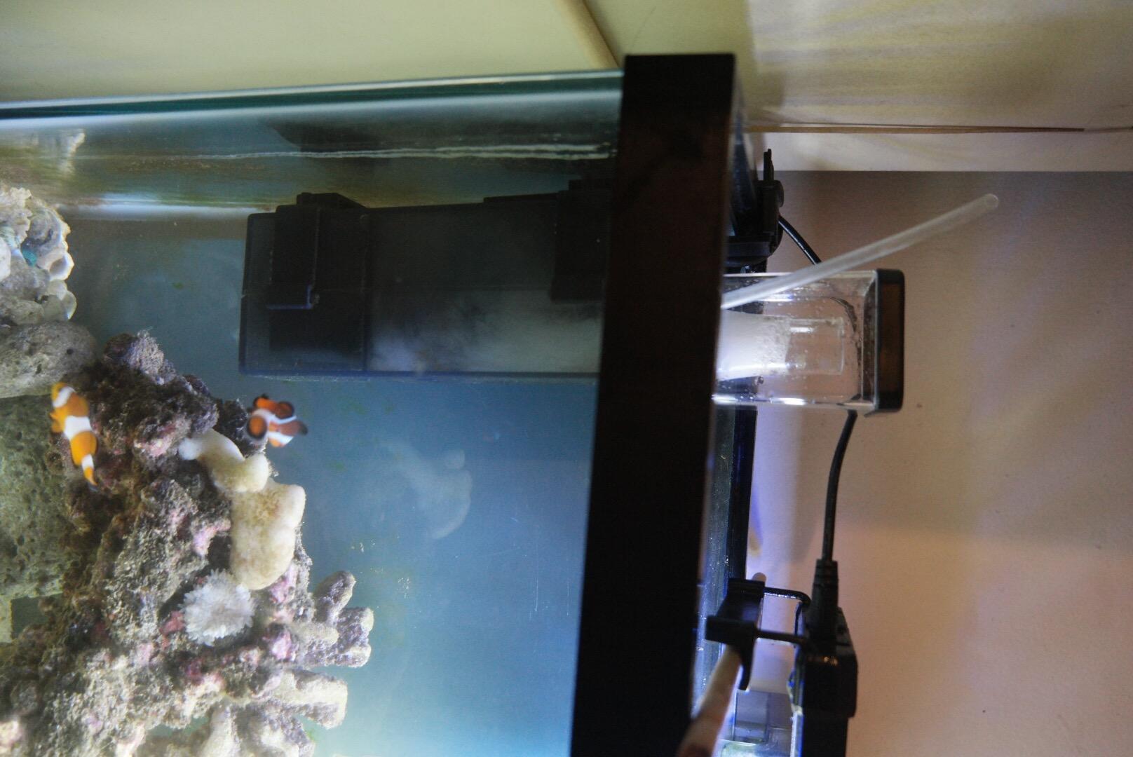 B0BJFL34MS Customer Photo 1