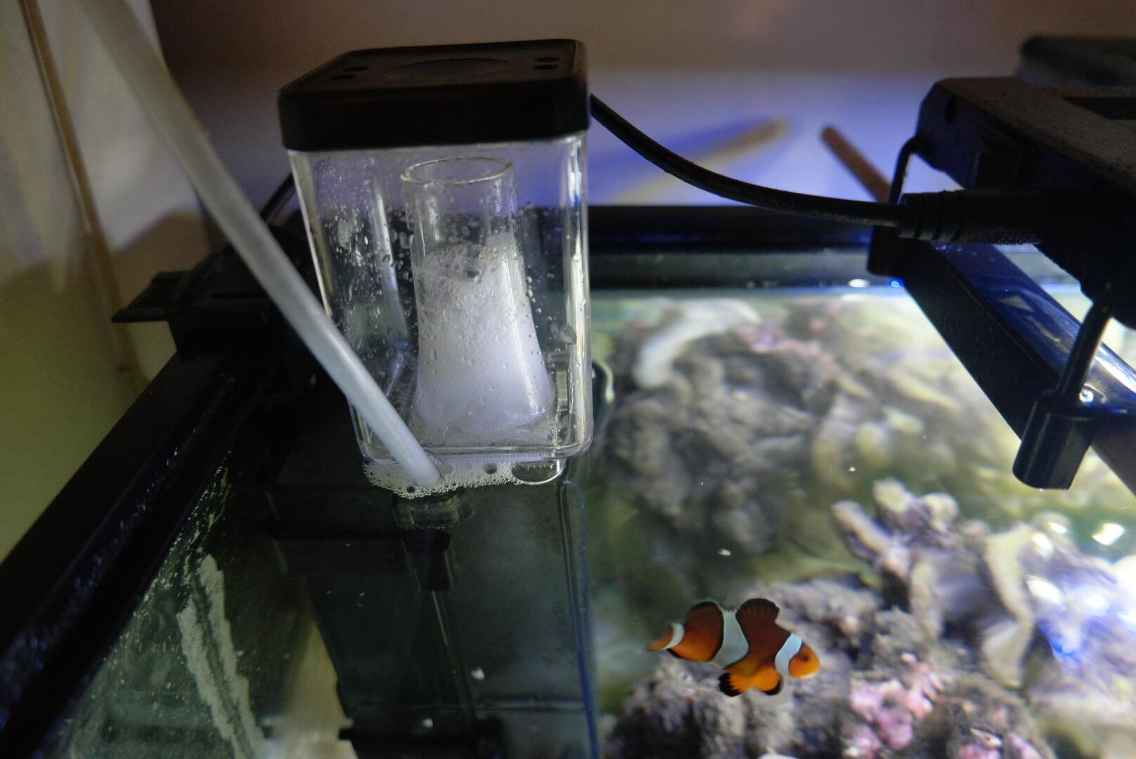 B0BJFL34MS Customer Photo 2