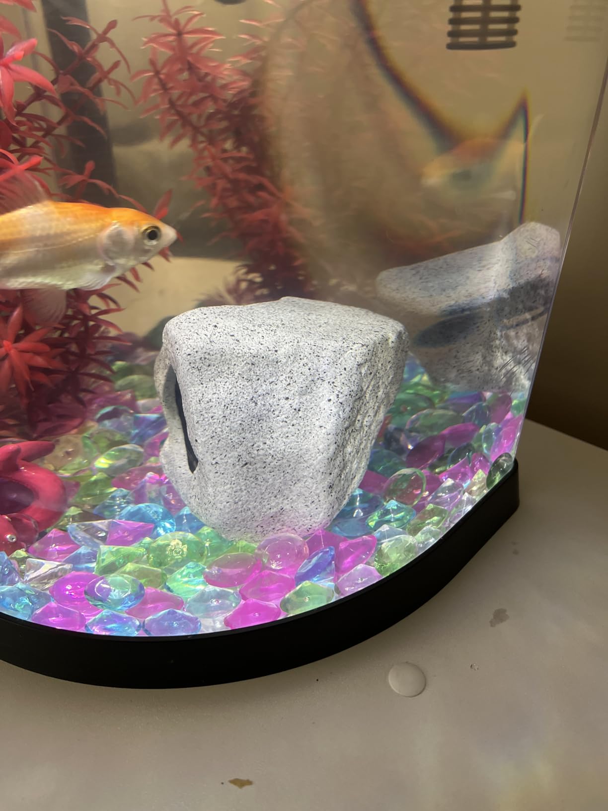 Premium Aquarium Decor, Beta Fish Tank Decorations, Betta Fish Tank Accessories, Fish Rocks Hiding, Playing, Resting Spots - Avoid Aggressive Behavior (Alien) Customer Review Premium Aquarium Decor, Beta Fish Tank Decorations, Betta Fish Tank Accessories, Fish Rocks Hiding, Playing, Resting Spots - Avoid Aggressive Behavior (Alien) - Customer Photo 1